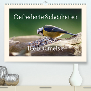 Gefiederte Schönheiten – Die Blaumeise (Premium, hochwertiger DIN A2 Wandkalender 2023, Kunstdruck in Hochglanz) von Poetsch,  Rolf