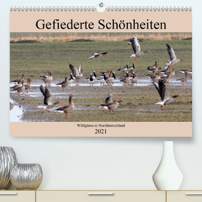 Gefiederte Schönheiten – Wildgänse in Norddeutschland (Premium, hochwertiger DIN A2 Wandkalender 2021, Kunstdruck in Hochglanz) von Poetsch,  Rolf