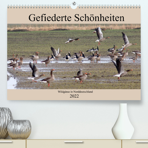 Gefiederte Schönheiten – Wildgänse in Norddeutschland (Premium, hochwertiger DIN A2 Wandkalender 2022, Kunstdruck in Hochglanz) von Poetsch,  Rolf