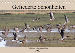 Gefiederte Schönheiten – Wildgänse in Norddeutschland (Tischkalender 2022 DIN A5 quer) von Poetsch,  Rolf