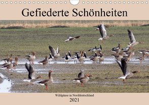 Gefiederte Schönheiten – Wildgänse in Norddeutschland (Wandkalender 2021 DIN A4 quer) von Poetsch,  Rolf