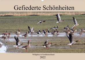 Gefiederte Schönheiten – Wildgänse in Norddeutschland (Wandkalender 2022 DIN A2 quer) von Poetsch,  Rolf