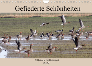 Gefiederte Schönheiten – Wildgänse in Norddeutschland (Wandkalender 2022 DIN A4 quer) von Poetsch,  Rolf