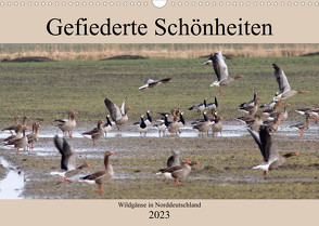 Gefiederte Schönheiten – Wildgänse in Norddeutschland (Wandkalender 2023 DIN A3 quer) von Poetsch,  Rolf