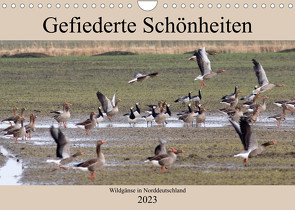 Gefiederte Schönheiten – Wildgänse in Norddeutschland (Wandkalender 2023 DIN A4 quer) von Poetsch,  Rolf