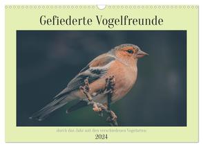 Gefiederte Vogelfreunde (Wandkalender 2024 DIN A3 quer), CALVENDO Monatskalender von Sperber,  Simone