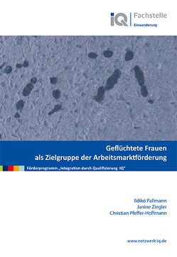 Geflüchtete Frauen als Zielgruppe der Arbeitsmarktförderung von Pallmann,  Ildikó, Pfeffer-Hoffmann,  Christian, Ziegler,  Janine