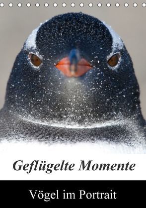 Geflügelte Momente – Vögel im Portrait (Tischkalender 2018 DIN A5 hoch) von Schlögl,  Brigitte