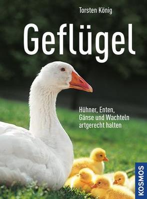 Geflügel von König,  Dr. Torsten