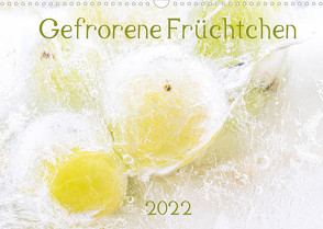 Gefrorene Früchtchen (Wandkalender 2022 DIN A3 quer) von Scheurer,  Monika