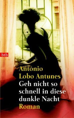 Geh nicht so schnell in diese dunkle Nacht von Lobo Antunes,  António, Meyer-Minnemann,  Maralde