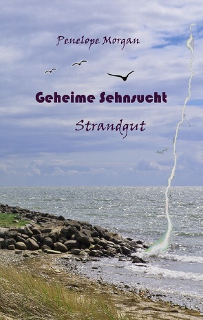 Geheime Sehnsucht – Strandgut von Morgan,  Penelope