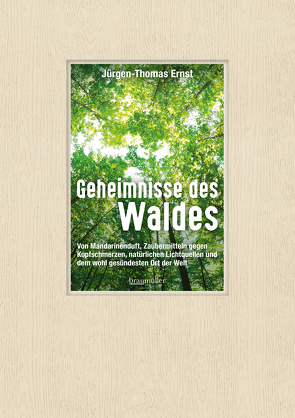 Geheimnisse des Waldes von Ernst,  Jürgen-Thomas