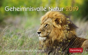 Geheimnisvolle Natur – Kalender 2019 von Dilling,  Jochen, Harenberg