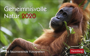 Geheimnisvolle Natur Kalender 2020 von Dilling,  Jochen, Harenberg