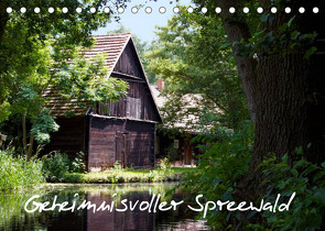 Geheimnisvoller Spreewald (Tischkalender 2022 DIN A5 quer) von Rix,  Veronika