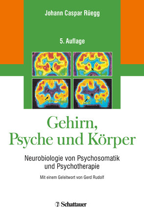 Gehirn, Psyche und Körper von Rüegg,  Johann Caspar