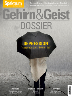 Gehirn&Geist Dossier – Depression