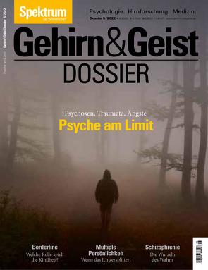 Gehirn&Geist Dossier – Psyche am Limit