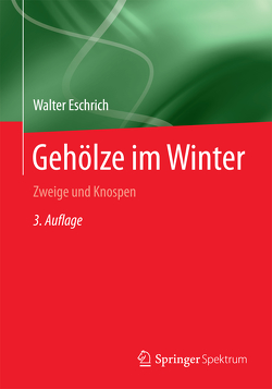 Gehölze im Winter von Eschrich,  Walter