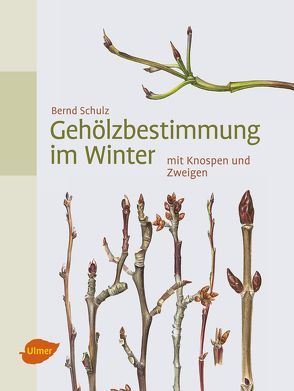 Gehölzbestimmung im Winter von Schulz,  Bernd