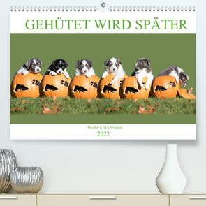 Gehütet wird später – Border Collie Welpen (Premium, hochwertiger DIN A2 Wandkalender 2022, Kunstdruck in Hochglanz) von Mayer Tierfotografie,  Andrea