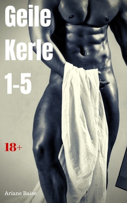 Geile Kerle 1-5 von Baise,  Ariane