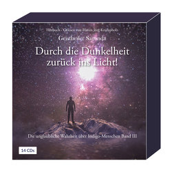 Geistheiler Sananda: Durch die Dunkelheit zurück ins Licht! von Brecht,  Oliver Michael