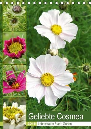 Geliebte Cosmea (Tischkalender 2018 DIN A5 hoch) von Schilling,  Linda