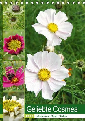 Geliebte Cosmea (Tischkalender 2019 DIN A5 hoch) von Schilling,  Linda