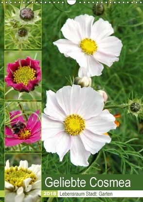 Geliebte Cosmea (Wandkalender 2018 DIN A3 hoch) von Schilling,  Linda