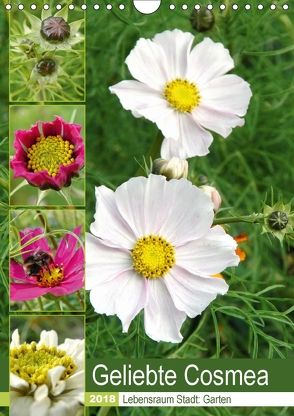 Geliebte Cosmea (Wandkalender 2018 DIN A4 hoch) von Schilling,  Linda