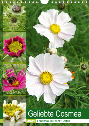 Geliebte Cosmea (Wandkalender 2021 DIN A4 hoch) von Schilling,  Linda