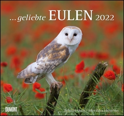 … geliebte Eulen 2022 – DUMONT Wandkalender – mit den wichtigsten Feiertagen – Format 38,0 x 35,5 cm