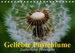 Geliebte Pusteblume. Zauberhafter Löwenzahn (Tischkalender 2018 DIN A5 quer) von Stanzer,  Elisabeth