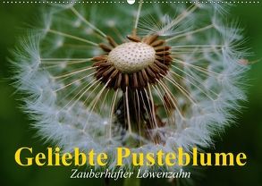 Geliebte Pusteblume. Zauberhafter Löwenzahn (Wandkalender 2018 DIN A2 quer) von Stanzer,  Elisabeth