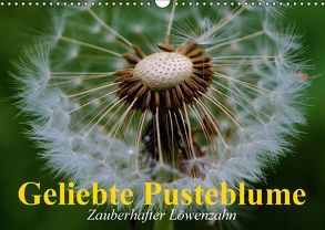 Geliebte Pusteblume. Zauberhafter Löwenzahn (Wandkalender 2018 DIN A3 quer) von Stanzer,  Elisabeth