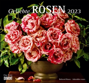 Geliebte Rosen 2023 – DUMONT Wandkalender – mit allen wichtigen Feiertagen – Format 38,0 x 35,5 cm von Perry,  Clay