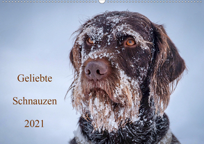 Geliebte Schnauzen 2021 (Wandkalender 2021 DIN A2 quer) von wuffclick-pic