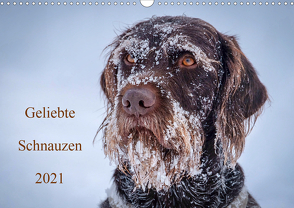 Geliebte Schnauzen 2021 (Wandkalender 2021 DIN A3 quer) von wuffclick-pic