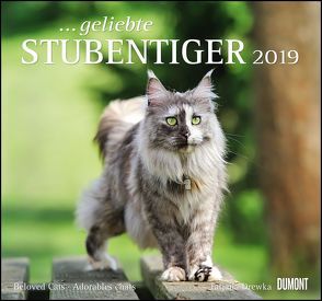 … geliebte Stubentiger 2019 – DuMont Wandkalender – mit den wichtigsten Feiertagen – Format 38,0 x 35,5 cm von Drewka,  Tatjana, DUMONT Kalenderverlag