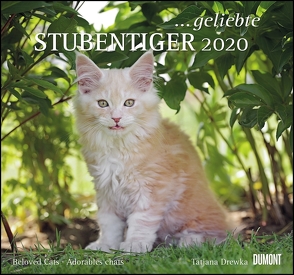 … geliebte Stubentiger 2020 – DuMont Wandkalender – mit den wichtigsten Feiertagen – Format 38,0 x 35,5 cm von Drewka,  Tatjana, DUMONT Kalenderverlag