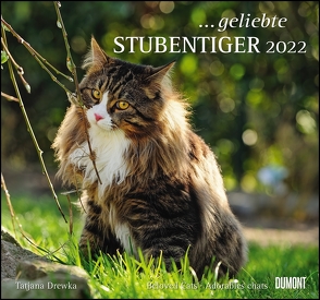 … geliebte Stubentiger 2022 – DUMONT Wandkalender – mit den wichtigsten Feiertagen – Format 38,0 x 35,5 cm