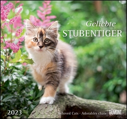 Geliebte Stubentiger 2023 – DUMONT Wandkalender – mit den wichtigsten Feiertagen – Format 38,0 x 35,5 cm