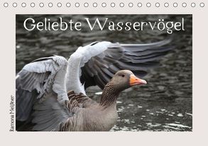 Geliebte Wasservögel (Tischkalender 2019 DIN A5 quer) von Meißner,  Ramona