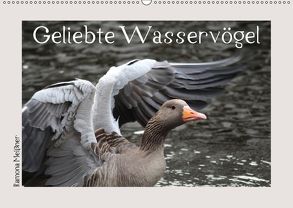 Geliebte Wasservögel (Wandkalender 2018 DIN A2 quer) von Meißner,  Ramona