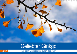 Geliebter Ginkgo (Wandkalender 2021 DIN A3 quer) von Jäger,  Anette