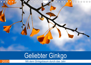 Geliebter Ginkgo (Wandkalender 2023 DIN A4 quer) von Jäger,  Anette