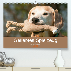 Geliebtes Spielzeug – Azawakh Ridgeback (Premium, hochwertiger DIN A2 Wandkalender 2021, Kunstdruck in Hochglanz) von Bölts,  Meike