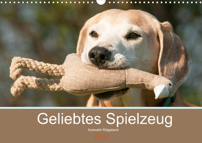 Geliebtes Spielzeug – Azawakh Ridgeback (Wandkalender 2022 DIN A3 quer) von Bölts,  Meike